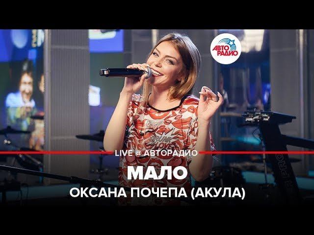 Певица Акула — видео выступления 5